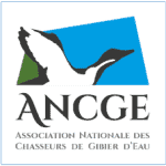 ANCGGE