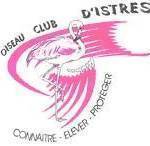 Oiseaux Club Istres